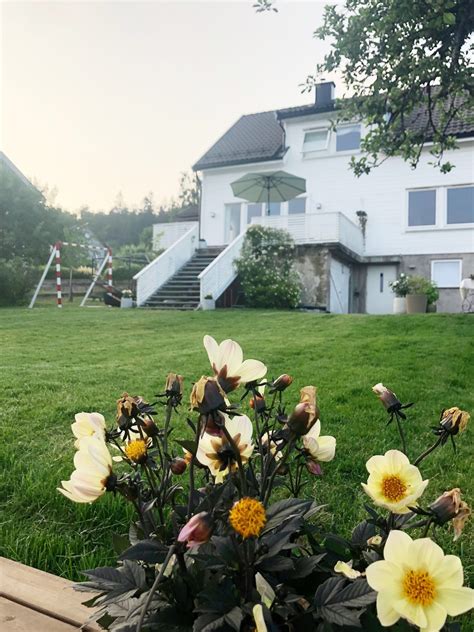 Oslo House Holiday Rentals .